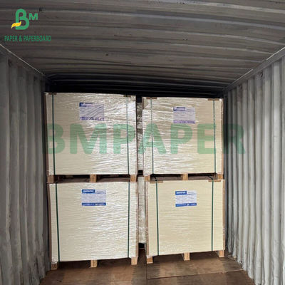High Stiffness 275gsm + 15g PE Coated Frozen Food Packaging Paper 635 X 902mm