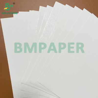 Good Strength 250g - 400g Heat-sealable Blister Cardboard Roll Width 1041mm