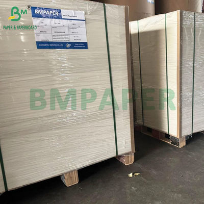 Good Strength 250g - 400g Heat-sealable Blister Cardboard Roll Width 1041mm