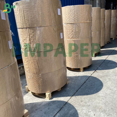 280gsm 300gsm White Bowl / Soup Container Base Paper Coating And Uncoated