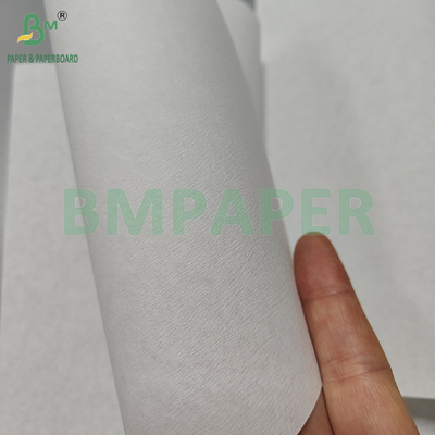 35gsm 50gsm White And Brown Bamboo Pulp Coffee Filter Paper For Filter Coffee