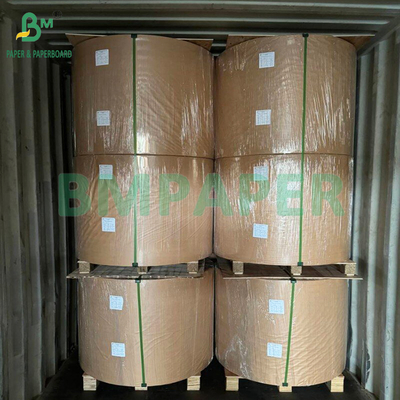 35gsm 50gsm White And Brown Bamboo Pulp Coffee Filter Paper For Filter Coffee