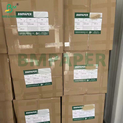 Food Grade Bleached Unbleached 40GSM 50GSM Coffee Filter Paper Roll 1200mm