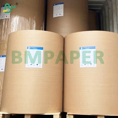 30Gsm Grease Resistant Wax Paper Rolls for Sandwich Wrapping
