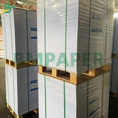 High Bulky Ivory Book Paper Uncoated Paper 80gsm 70gsm For Text