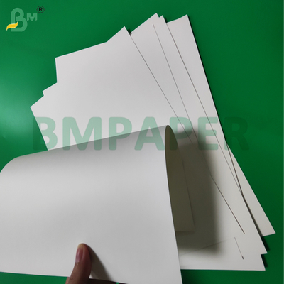 Waterproof 300g + 18g PE Coated Kraft Paper For Salad Bowls 880mm 975mm
