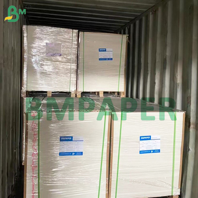Single Side Coated Greaseproof Paper Board With Uncoated White Back 275gsm
