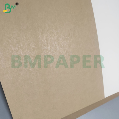 350gsm+20gsm PE Coated High Stiffness Bowl Base Paper Sheets