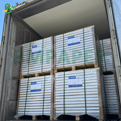 55gsm 60gsm Ncr Carbonless Self Copy Paper Blank Extended Sheets 70x100cm 61x86cm