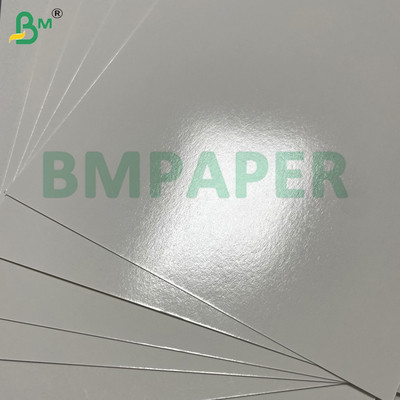 250gsm Waterproof Coated Premium Frozen Shrimp Packing Paper For Cold Storage Storage