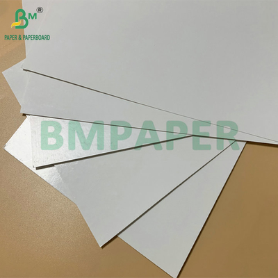 SBS Frozen Paperboard PE Coated 325gsm For Making Frozen Shrimp Packaging Box