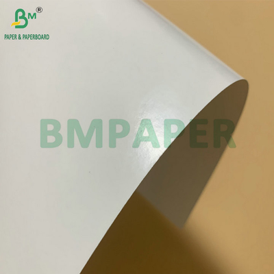 SBS Frozen Paperboard PE Coated 325gsm For Making Frozen Shrimp Packaging Box