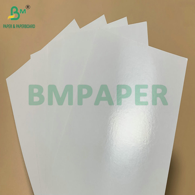 SBS Frozen Paperboard PE Coated 325gsm For Making Frozen Shrimp Packaging Box
