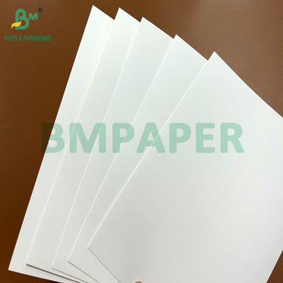 300gsm 350gsm 400gsm Coating 1 Side Bristol Paper Board For Folding Box 22.5″ × 28.5″