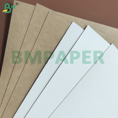 Heat Resistant PE Coated Cup Stock Paper Sheets Eco-friendly