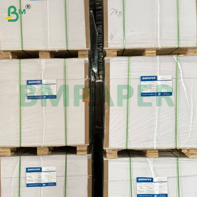 Smooth Surface Cooking Paper Sheet for Professional Kitchens