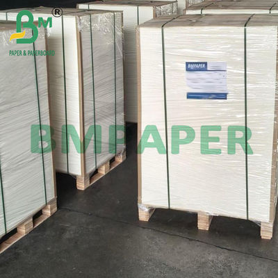0.7mm Thickness Eco-Friendly High Absorbency Blotter Paper for Printing