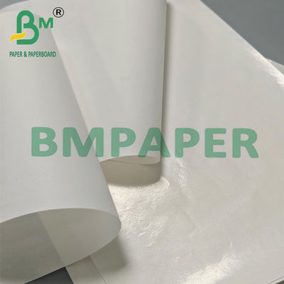 35-70gsm Waterproof PE Coated White Kraft Paper 500x700mm for Food Box Packing