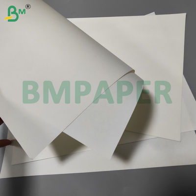 65gsm 75gsm Uncoated High Bulk Ivory Book Paper For Brochure 70 x 100cm