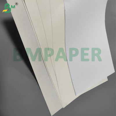 65gsm 75gsm Uncoated High Bulk Ivory Book Paper For Brochure 70 x 100cm