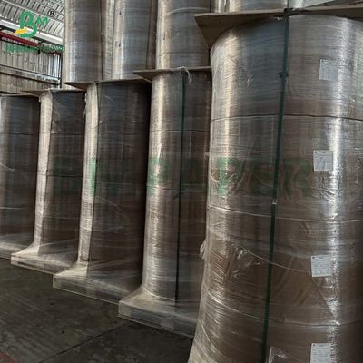 35gr 40gr 45gr 50gr Virgin Food Grade Kraft Paper for Filtering Coffee