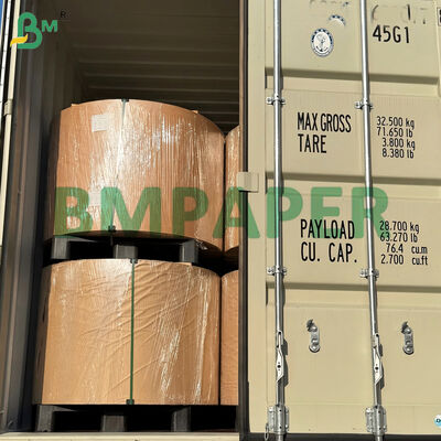 PET Coating Paperboard Heat Resistant For Disposable Paper Plate