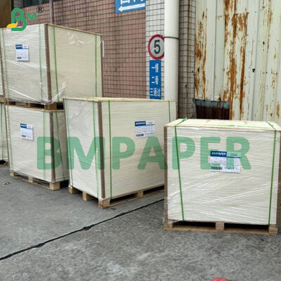 Food-Grade Bowl And Dish Specialty Paper / Plate Paper, PET Coated