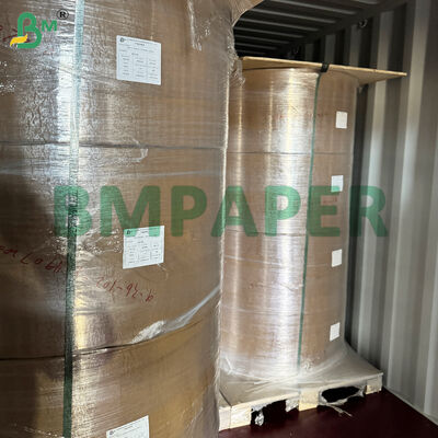 Food-Grade Bowl And Dish Specialty Paper / Plate Paper, PET Coated