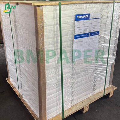 100% Cotton Rough Texture Watercolour Paper For Artist Painting 300gsm 70cm X 50cm Sizes