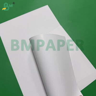 68lb 80lb C/1S Premium One Side Coated Paper 25 inch X 38 inch White Blank Sheets
