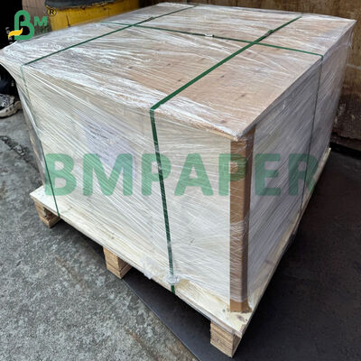 Food Grade Baked Parchment Lace Doilies Paper 50gsm For Baking Muffin Paper Cups