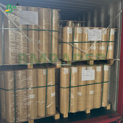 75gsm High Absorbent Kraft Chick Poultry Paper In Roll
