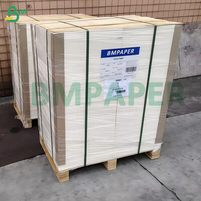 100lb 270gsm White Uncoated Smooth Bristol Board 22" x 30"