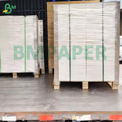 100lb 270gsm White Uncoated Smooth Bristol Board 22" x 30"