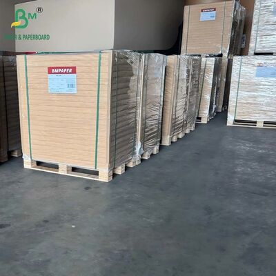 Glossy Surface C2S Playing Cardstock Paper 280grs 300grs for Tarot Cards