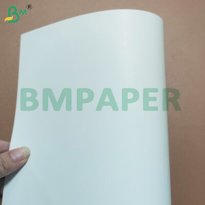 280gsm+10gsm PE Coated Food Grade Cardboard for Make Food Box