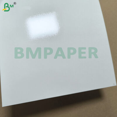 PET Coated White Paper For Dinnerware Plate and Dish Heat Resistance