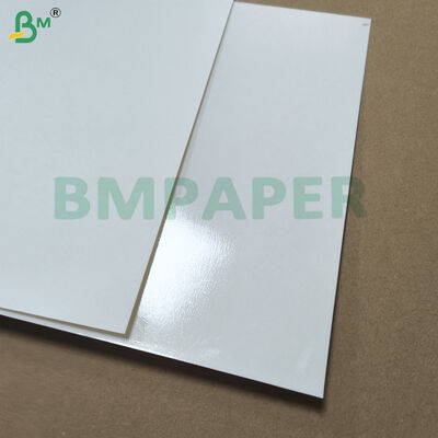 PET Coated White Paper For Dinnerware Plate and Dish Heat Resistance