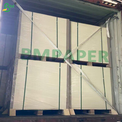 PET Coated White Paper For Dinnerware Plate and Dish Heat Resistance