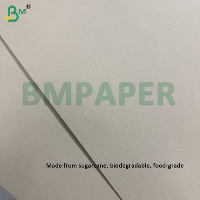 300gsm Unbleached Sugarcane Bagasse Pulp Paper Sheet Biodegradable Certified 787mm X 1092mm