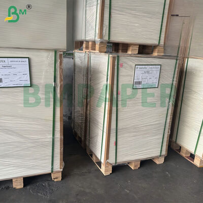 300gsm Unbleached Sugarcane Bagasse Pulp Paper Sheet Biodegradable Certified 787mm X 1092mm