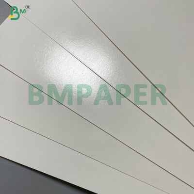 High Stiffness 180/190/210g Single PE Coated Paper Cup Base Paper 