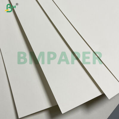 High Stiffness 180/190/210g Single PE Coated Paper Cup Base Paper 