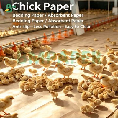 Strong Isolation Absorbent Kraft Liner For Young Poultry Cultivation