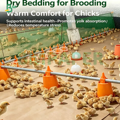Moisture-resistant Biodegradable Poultry Bedding Paper For Chick