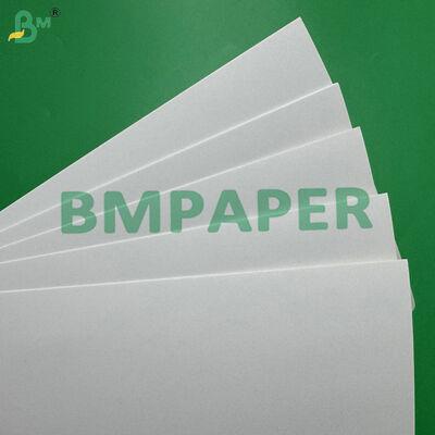 Waterproof and Greaseproof C1S 275gsm + 15g PE Coated Paperboard for Food Packaging