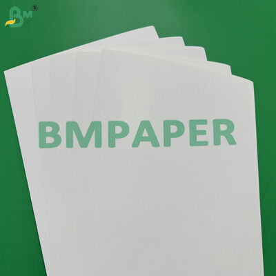 Waterproof and Greaseproof C1S 275gsm + 15g PE Coated Paperboard for Food Packaging