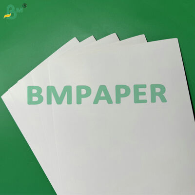Waterproof and Greaseproof C1S 275gsm + 15g PE Coated Paperboard for Food Packaging