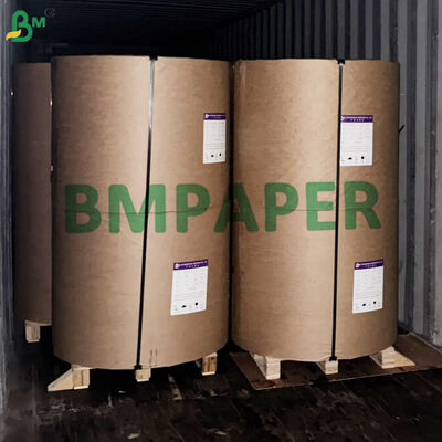 Anti - Insert And Bird Mango Grape Fruit Protection Bag Paper 55gsm