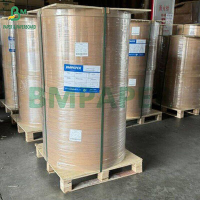 Moisture Resist 25gsm to 40gsm Food Grade White Paper Roll for Wrapping Tortillas